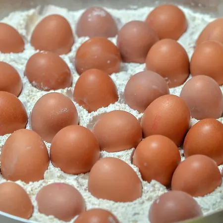 Astoria Hotell Thessaloníki